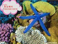 韓亞旅游信息咨詢 印度簽證材料簡化、陸路代辦價格與票務(wù)代售服務(wù)詳解