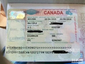 專業代辦美國、加拿大、澳大利亞、新西蘭等國簽證服務