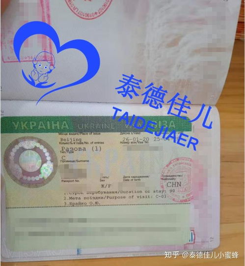 烏克蘭簽證辦理指南 試管醫療簽證、落地簽政策與代辦服務解析