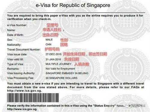 急難愁盼有回響 上海公安推出遠程代辦服務，破解海外同胞身份證換證難題